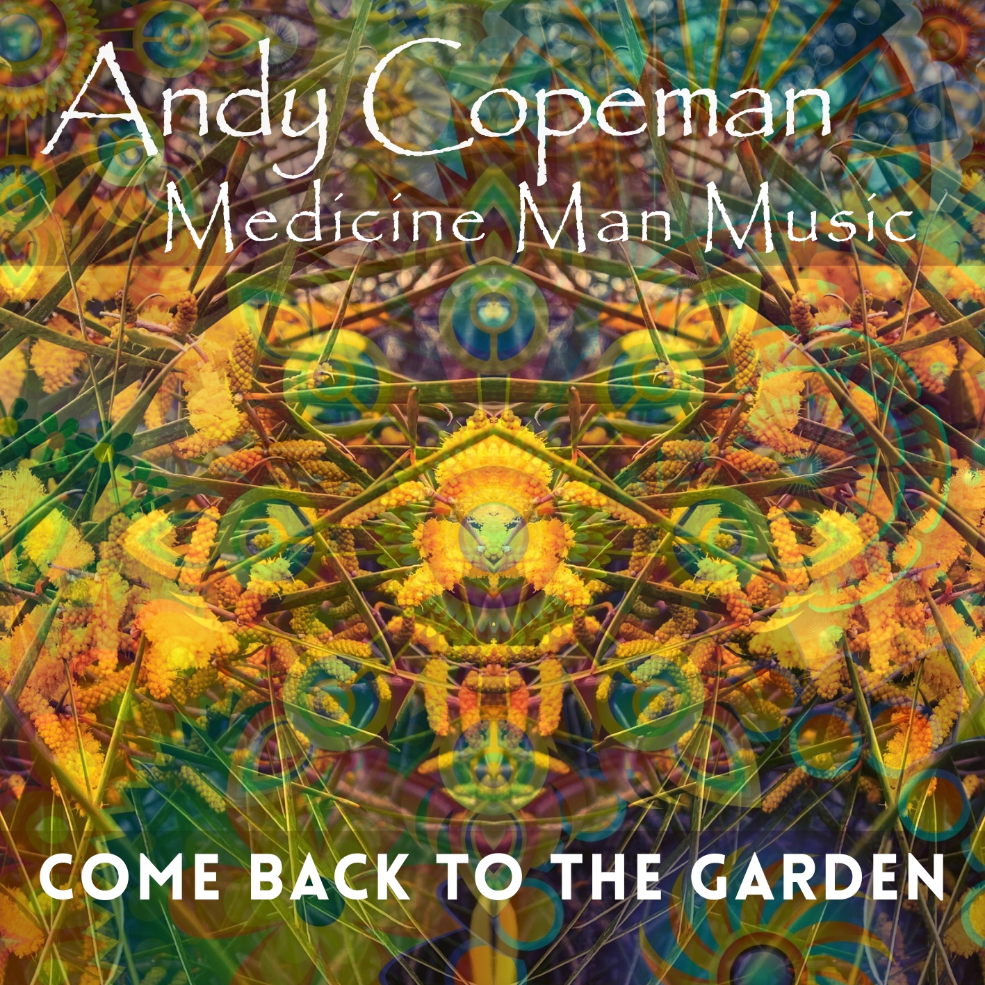 album artwork for Come Back to the Garden